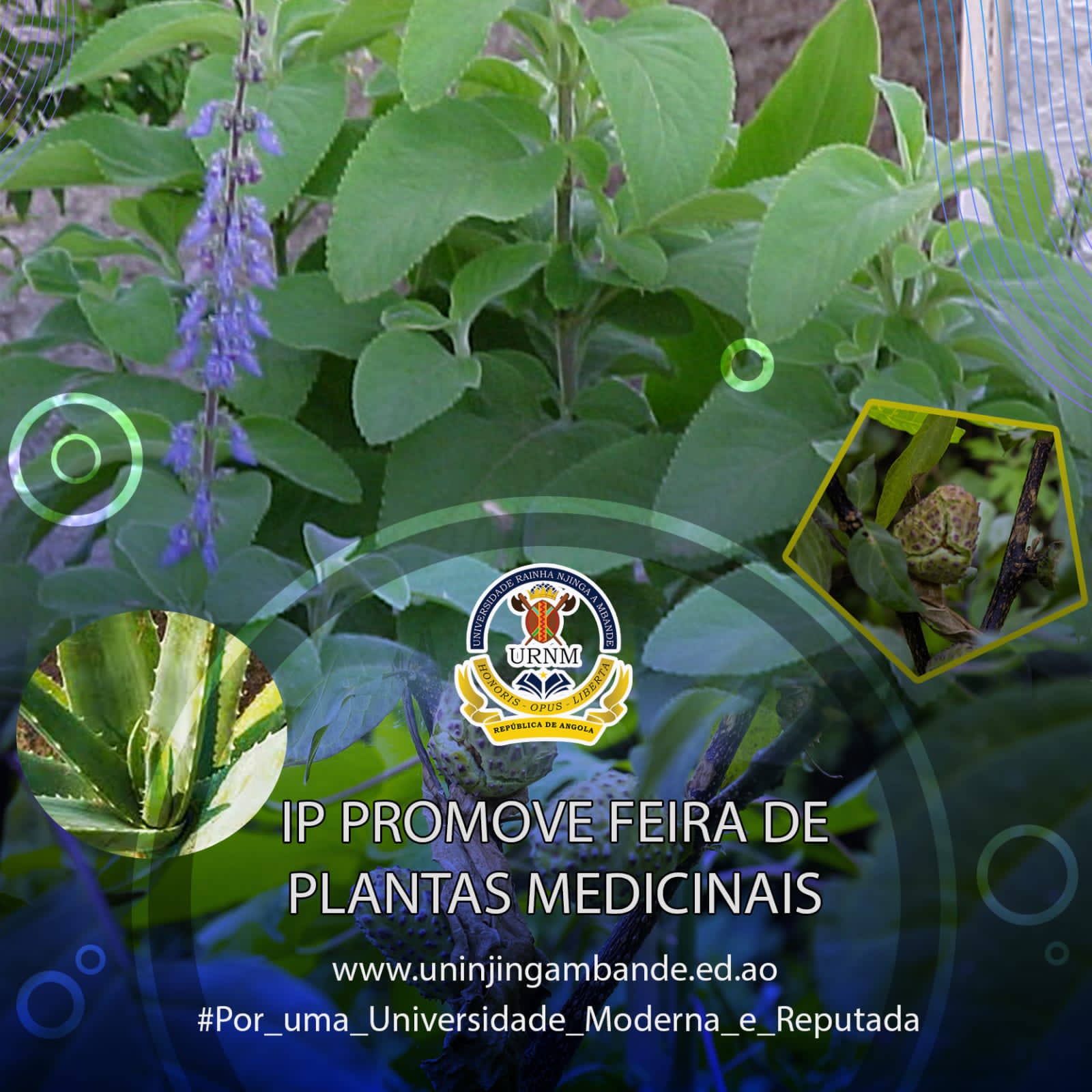 1de78324-3256-4562-a58f-e9040b870765